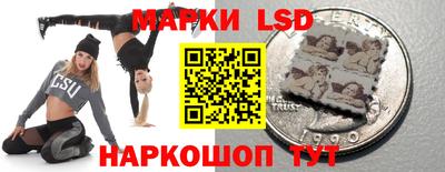 mdpv Краснознаменск