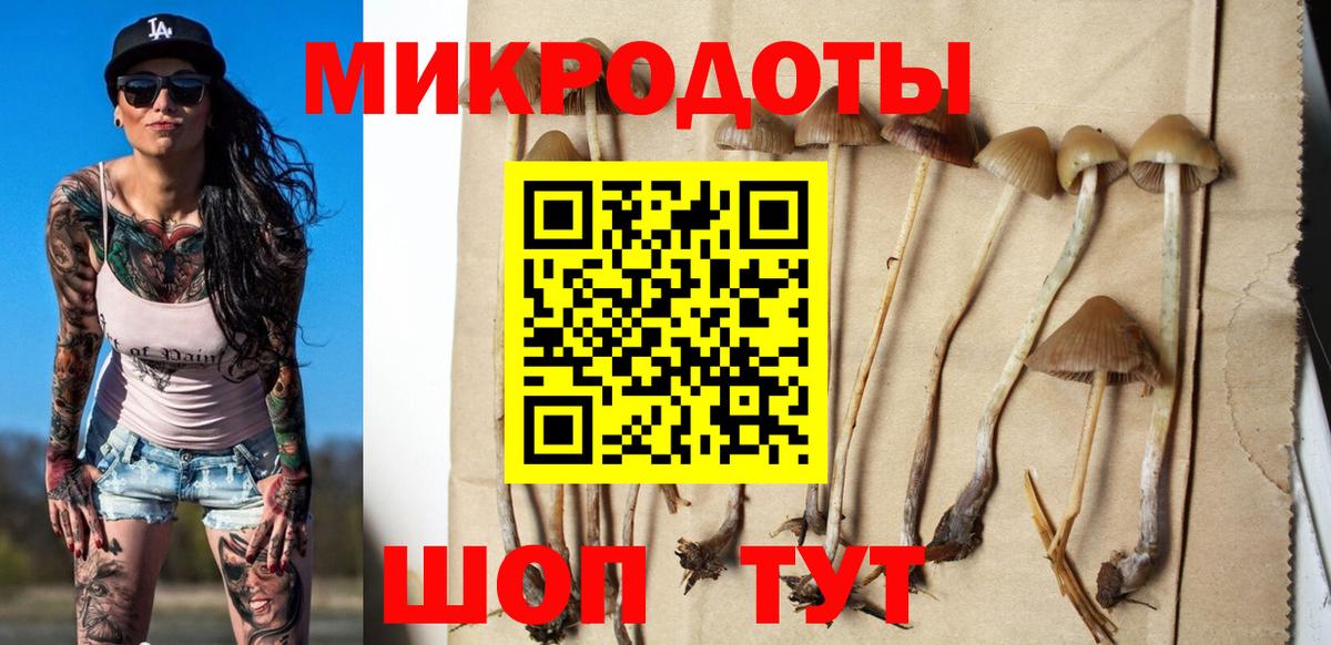 Псилоцибиновые грибы прущие грибы  что такое   Псилоцибиновые грибы мицелий  Киров  Вход с VPN 